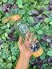 Load image into Gallery viewer, Scorpio Crystal Water Bottle Gravel Pouch