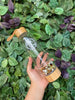 Gemini Crystal Water Bottle - Shiva's Stone Bamboo